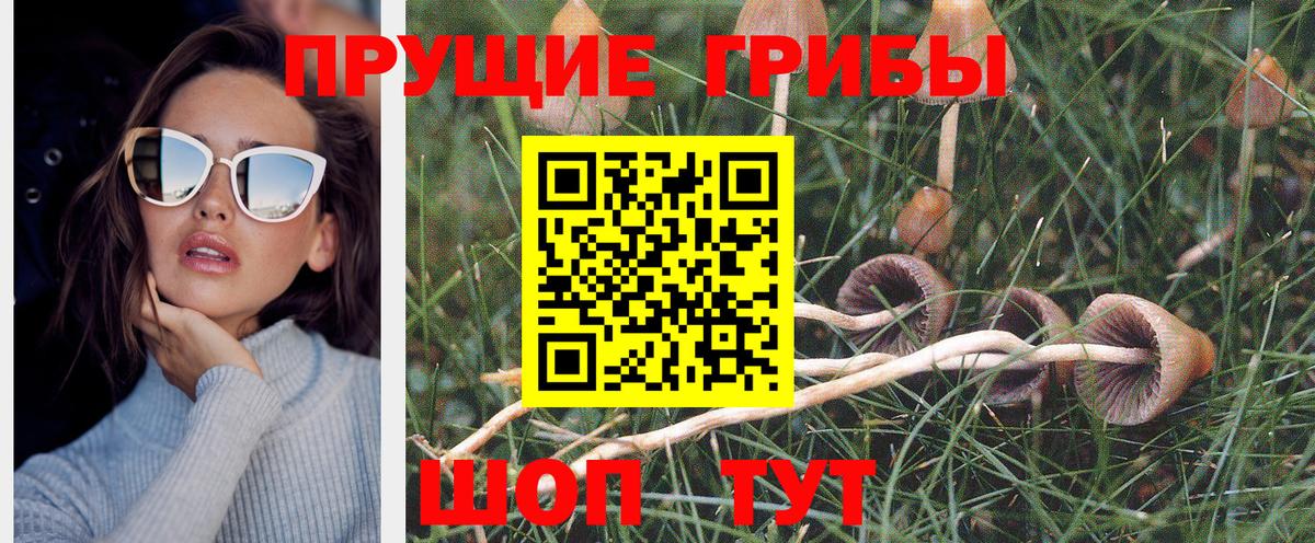 Ессентуки  Псилоцибиновые грибы Cubensis  Псилоцибиновые грибы GOLDEN TEACHER  Вход с VPN 
