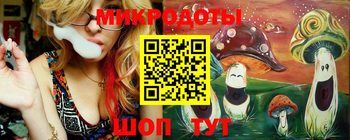 Псилоцибиновые грибы Psilocybe Ессентуки